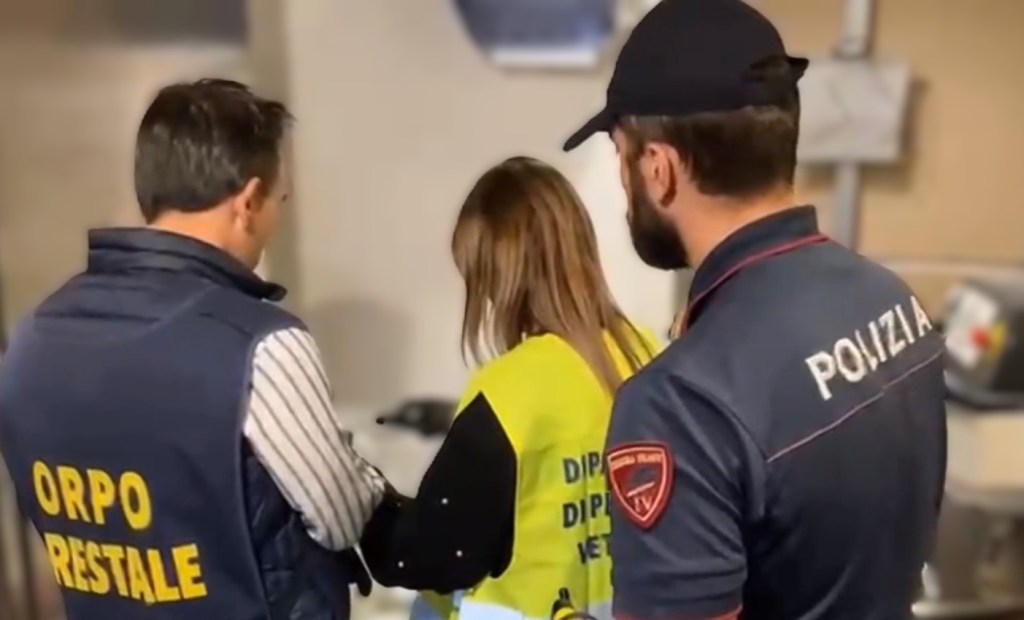 Scopri di più sull'articolo Scoperti lavoratori irregolari nei locali: sanzioni superano i 50 mila euro
