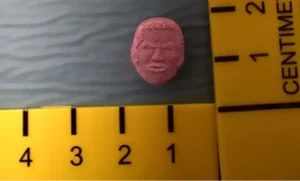 Scopri di più sull'articolo Polizia intercetta carico di ecstasy del valore di 780 mila euro