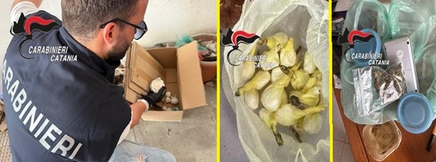 Scopri di più sull'articolo Due giovani arrestati per spaccio in un garage della città