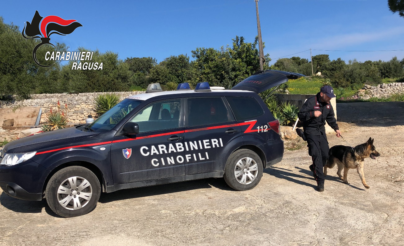 Scopri di più sull'articolo Due arresti e una denuncia: l’operazione antidroga dei Carabinieri a Ispica