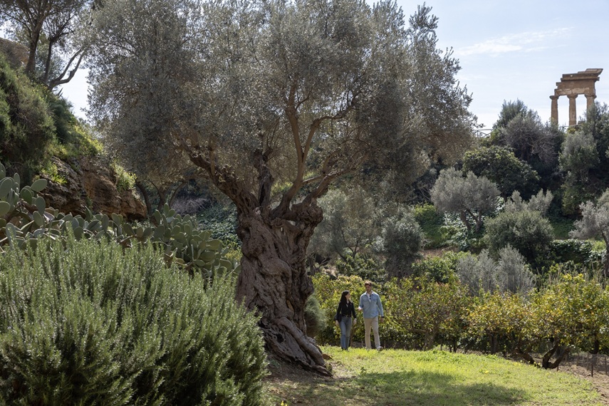 Scopri di più sull'articolo Camminate nel Giardino della Kolymbethra: esplorando il bosco ripariale