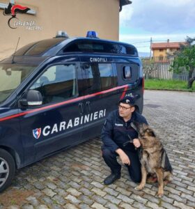Scopri di più sull'articolo Ron, il cane antidroga dei Carabinieri, va in pensione dopo anni di servizio