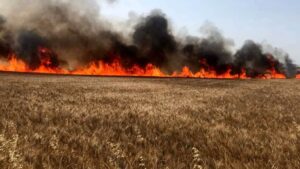 Scopri di più sull'articolo Incendio devasta cantiere a Licata: danni stimati in 20 mila euro