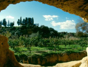 Scopri di più sull'articolo Stanley Tucci porta il Giardino della Kolymbethra su Disney Plus