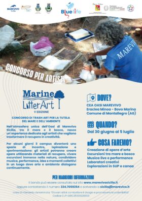 Al momento stai visualizzando Marevivo Sicilia estende al 2 giugno il termine per “Marine Litter Art”