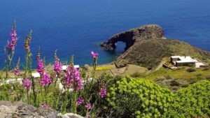 Scopri di più sull'articolo Pantelleria dà il via alla prima edizione del festival dell’Elaio e del gusto locale