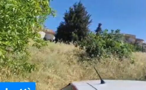 Scopri di più sull'articolo Canicattì, lettori segnalano erbacce nei pressi dell’ospedale (Video)