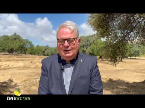 Scopri di più sull'articolo Teleacras – Valle dei Templi: riaffiora l’antica Akragas