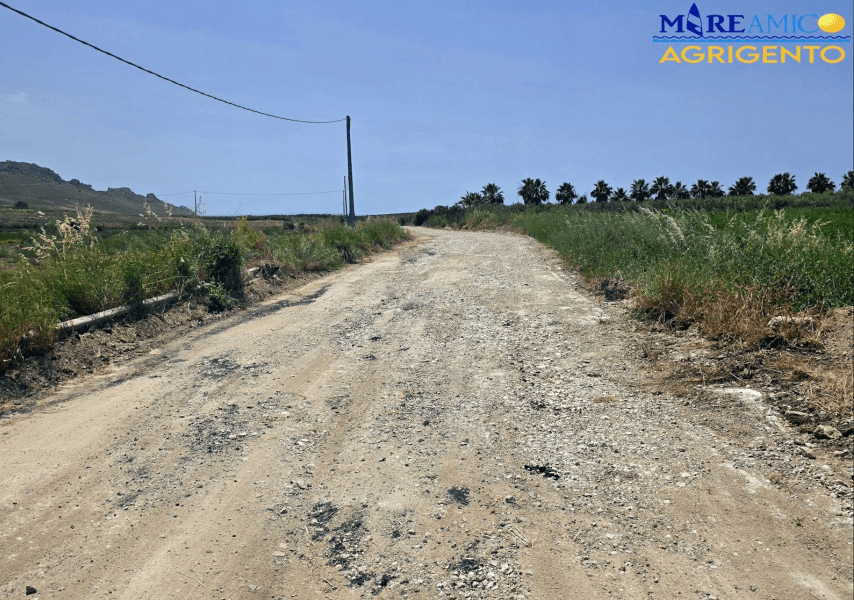 Al momento stai visualizzando Strada di Punta Bianca ripristinata grazie all’impegno di Mareamico