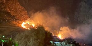 Scopri di più sull'articolo Dieci anni di pena per l’incendio che devastò villette e boschi
