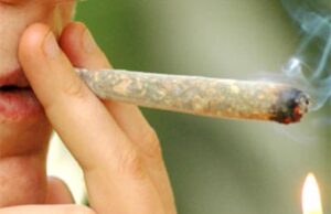Scopri di più sull'articolo Marijuana in auto: segnalati un 21enne e una 14enne a Palma di Montechiaro
