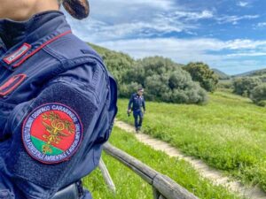 Scopri di più sull'articolo Coppia denunciata per maltrattamento di 16 cani nel giardino di casa