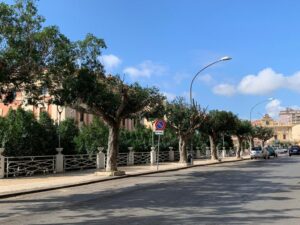 Scopri di più sull'articolo Candidati sindaci di Agrigento chiamati a firmare il “Patto per il verde”