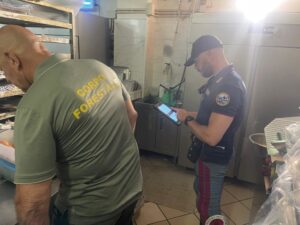 Scopri di più sull'articolo Sanzioni e denunce per attività commerciali: alimenti non tracciati e lavoro nero