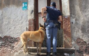 Scopri di più sull'articolo Giovane di 18 anni arrestato con droga e bomba carta nella sua abitazione