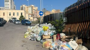 Scopri di più sull'articolo Discarica a cielo aperto: l’assessore annuncia multe per chi trasgredisce