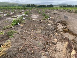 Scopri di più sull'articolo Cinque milioni dalla Regione per sostenere l’agricoltura in crisi idrica