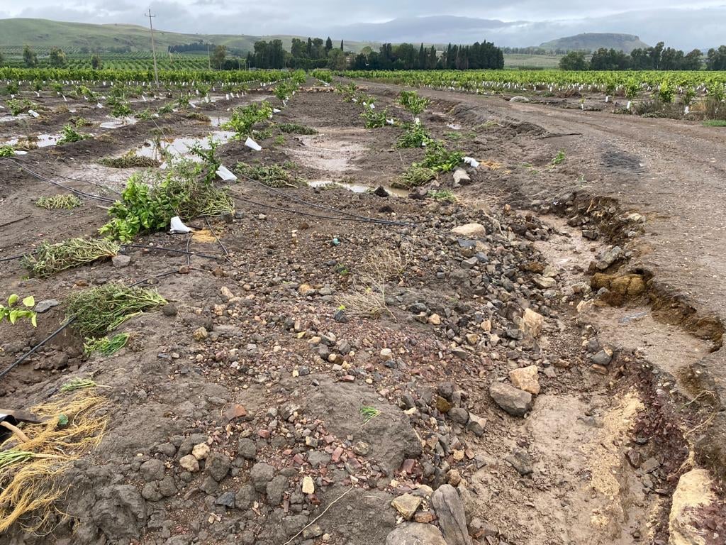 Al momento stai visualizzando Cinque milioni dalla Regione per sostenere l’agricoltura in crisi idrica