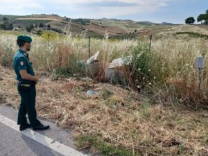 Scopri di più sull'articolo Protezione animali e ambiente: il ruolo delle Guardie Zoofile tra Agrigento e Caltanissetta