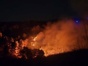 Scopri di più sull'articolo Incendio devasta il bosco della Fecia a Montallegro: danni ingenti