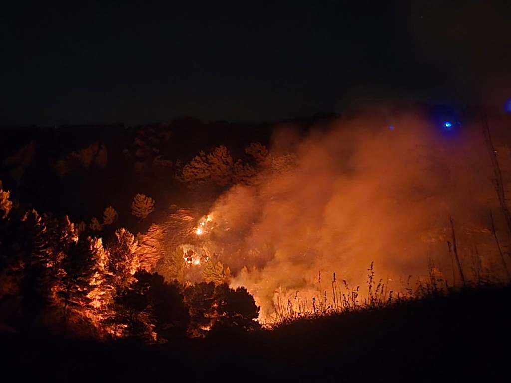 Al momento stai visualizzando Incendio devasta il bosco della Fecia a Montallegro: danni ingenti