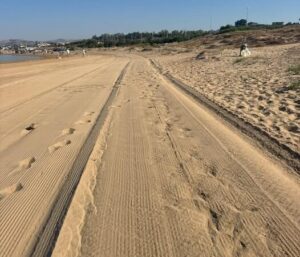 Scopri di più sull'articolo Spiagge ripulite: l’impresa locale porta un grande cambiamento!