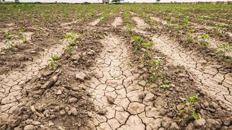 Al momento stai visualizzando Cinque milioni dalla Regione Siciliana per sostenere l’agricoltura in crisi idrica