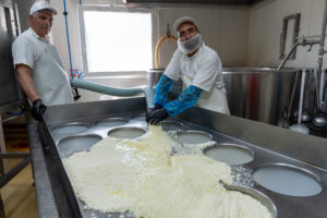 Scopri di più sull'articolo Sagra del Formaggio a Santo Stefano Quisquina: affluenza record di visitatori