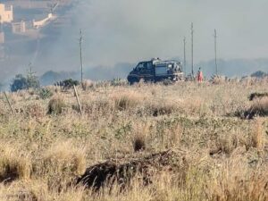 Scopri di più sull'articolo Sei milioni dalla Regione per tutelare le riserve naturali dagli incendi