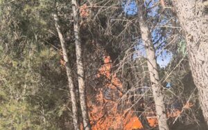 Scopri di più sull'articolo Incendio davanti alla villa di Comitini: il sindaco ringrazia i soccorritori