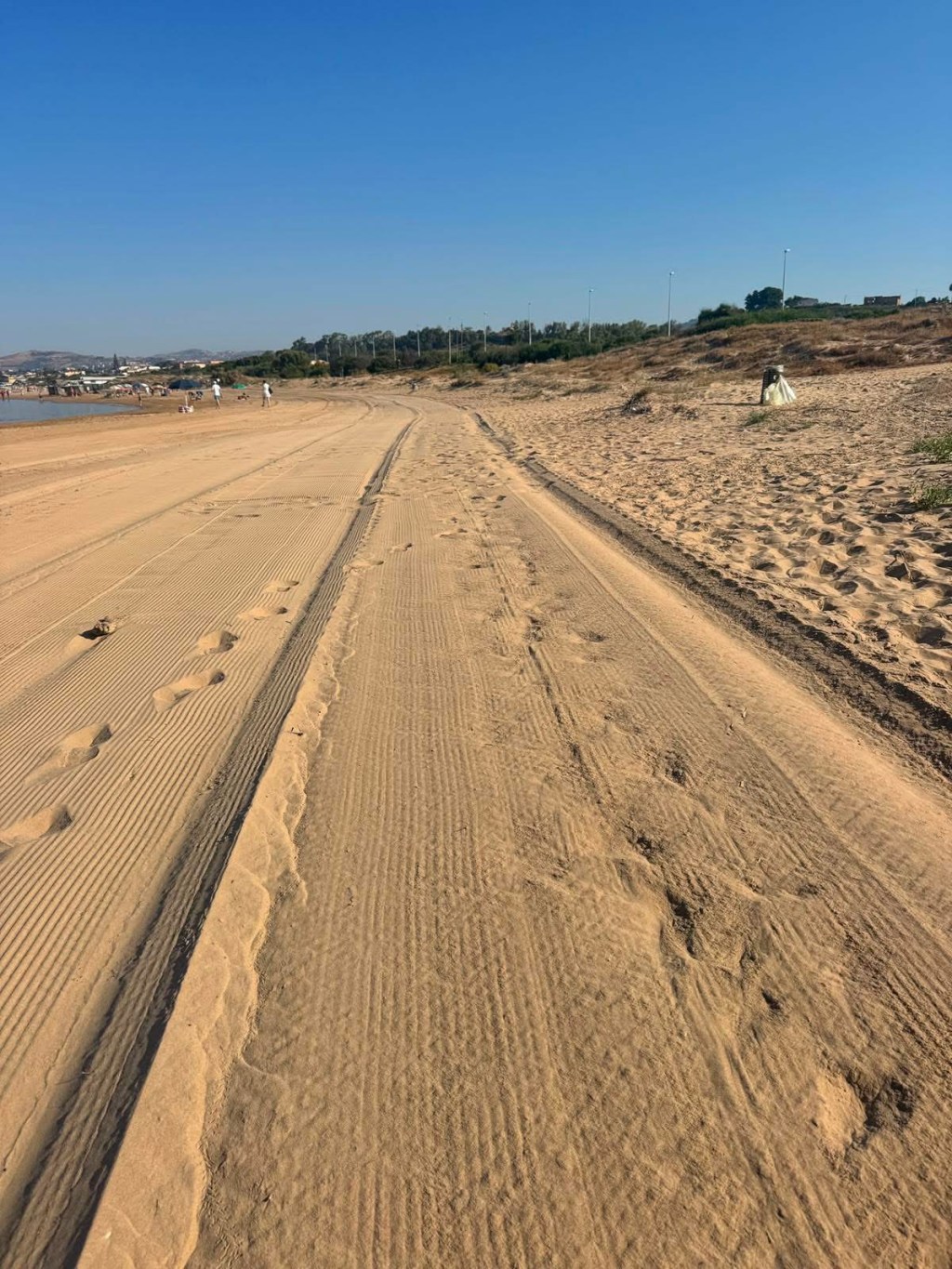 Al momento stai visualizzando Sodano lancia un appello: “Trattiamo le spiagge come la nostra casa