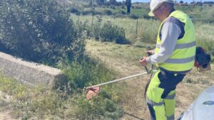 Scopri di più sull'articolo Agrigento abbandonata: le 12 unità per la scerbatura non si vedono