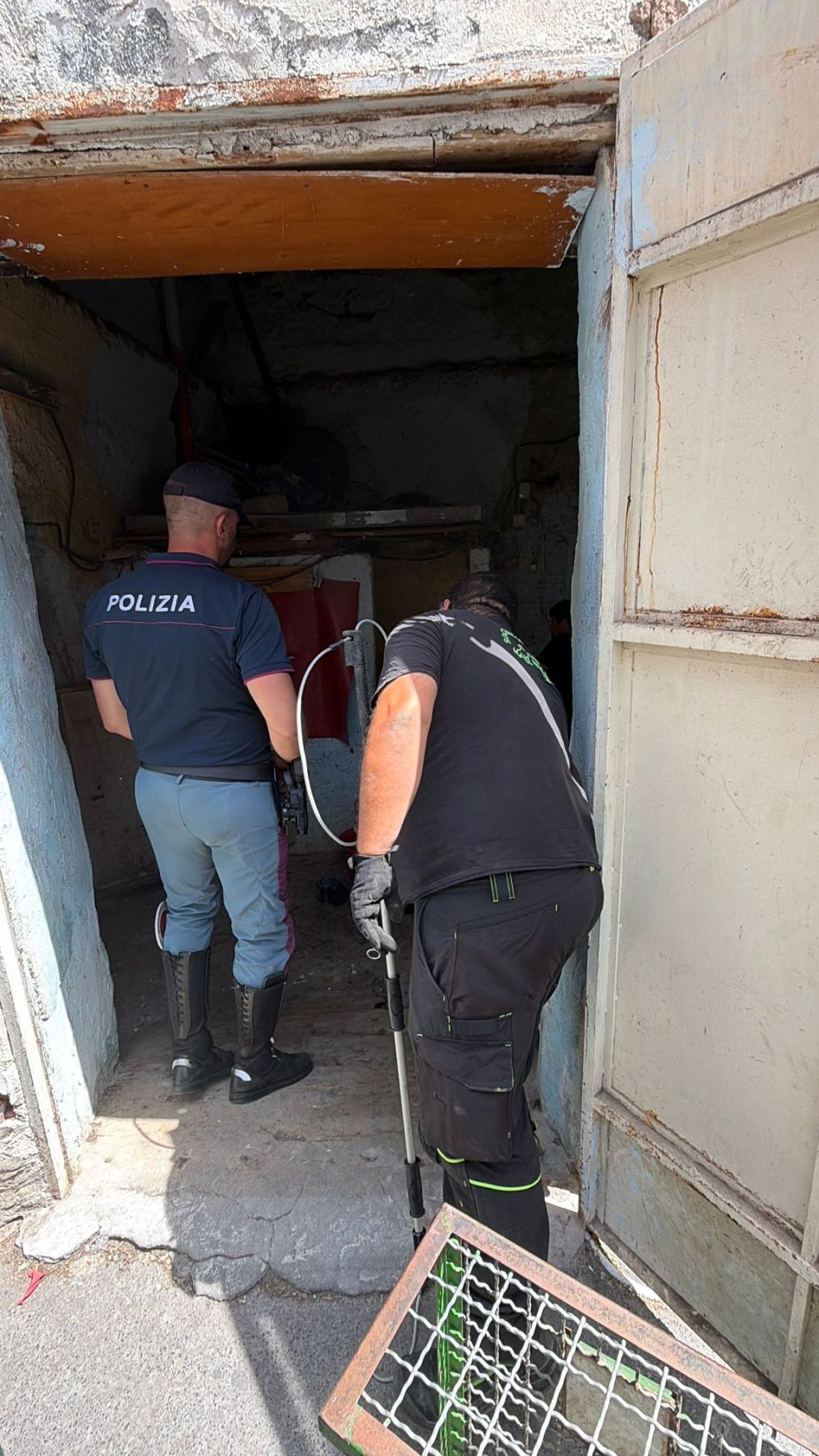 Al momento stai visualizzando Denunciato 42enne per maltrattamenti in una stalla abusiva scoperta