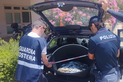 Al momento stai visualizzando Sequestro di 37 kg di seppie da parte di Polizia e Capitaneria di Porto