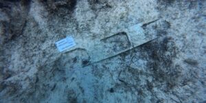 Scopri di più sull'articolo Recuperati nel mare di Lampedusa anfore e reperti storici: il video dell’operazione