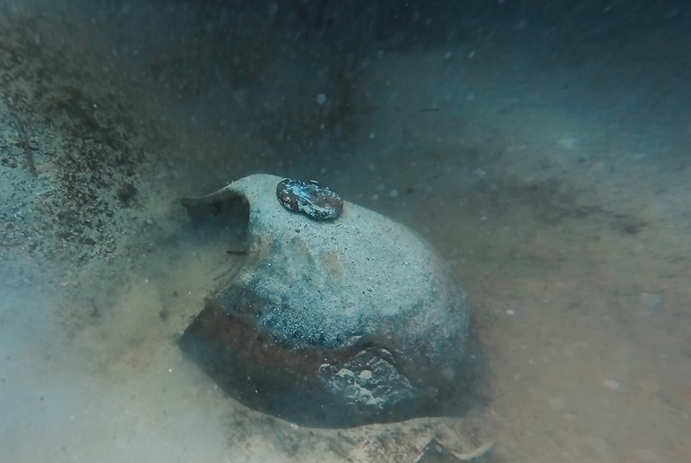 Al momento stai visualizzando Recupero di reperti storici a Lampedusa: successo per l’archeologia subacquea