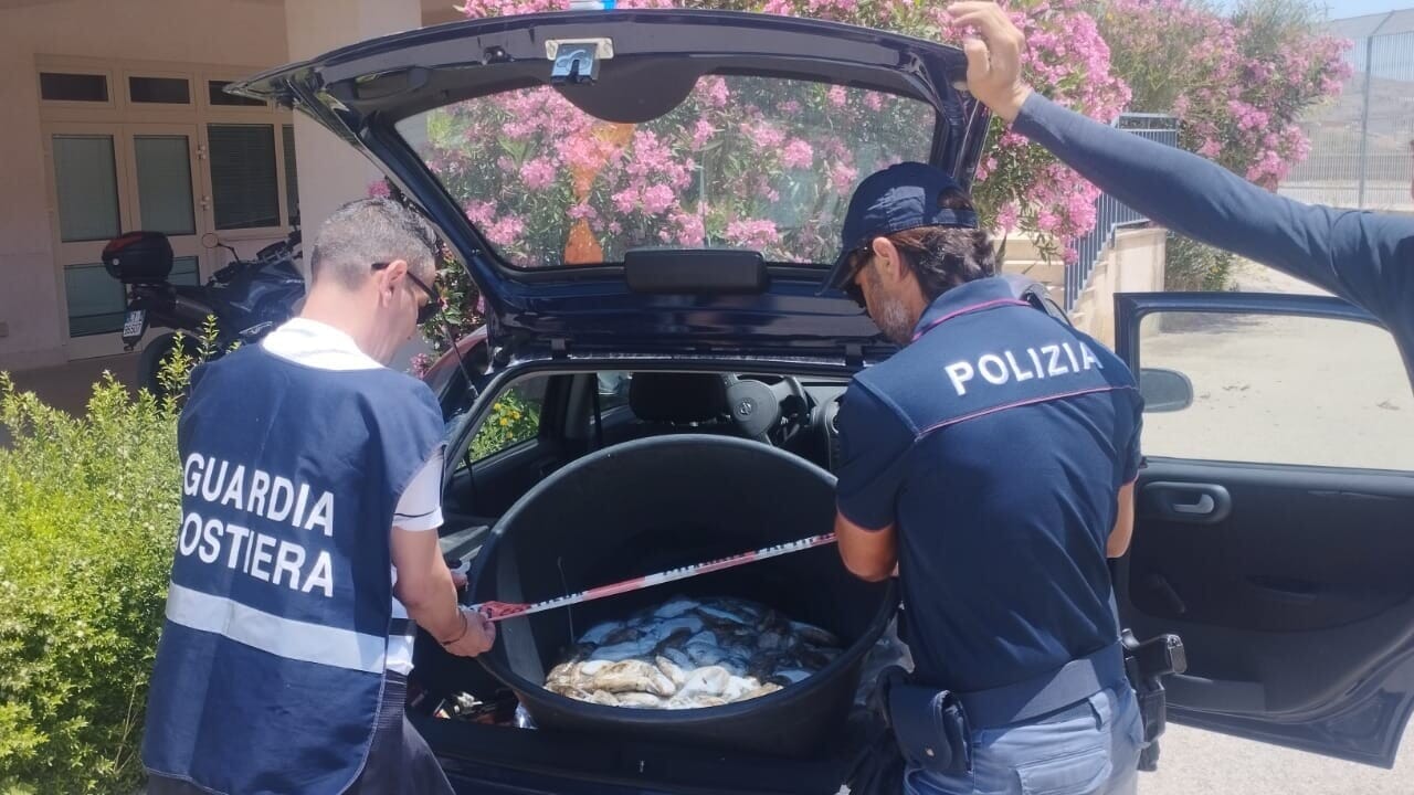 Al momento stai visualizzando Maxi controlli sul pescato a Licata: sequestrati 37 chili di seppie non tracciate