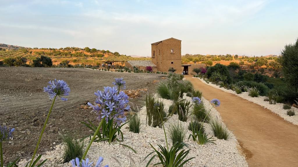 Al momento stai visualizzando Fattoria Valle dei Templi: unire agricoltura, archeologia e cibo al pubblico