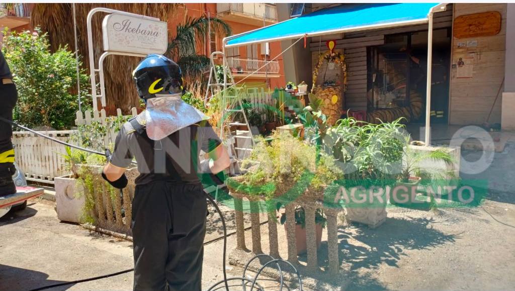 Al momento stai visualizzando Fiamme in un negozio di piante ad Agrigento: intervento dei Vigili del fuoco