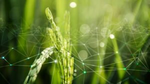 Scopri di più sull'articolo Investimenti in agrotech: la Valle dei Templi punta sul futuro agricolo