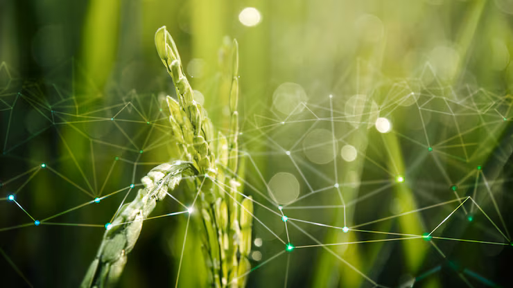Al momento stai visualizzando Investimenti in agrotech: la Valle dei Templi punta sul futuro agricolo