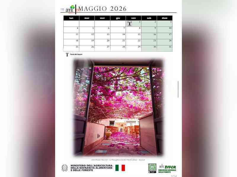 Al momento stai visualizzando Menfi celebra la Bougainvillea monumentale nel Calendario 2026 del Ministero