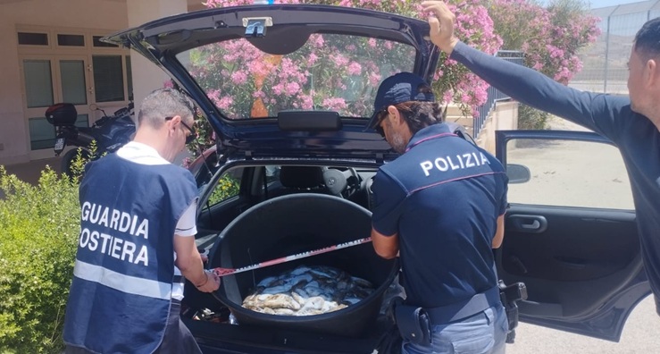 Al momento stai visualizzando Sequestrate tonnellate di pesce illegale: sanzioni salate per i trasgressori