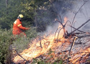 Al momento stai visualizzando Tragedia nel bosco: operaio forestale perde la vita durante un incendio