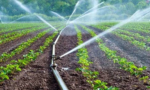 Al momento stai visualizzando Stipendi garantiti al Consorzio Bonifica: evitati disservizi per tutti