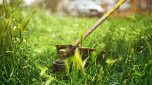 Scopri di più sull'articolo Inizia la scerbatura delle aree verdi negli ospedali di Agrigento