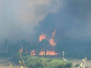 Scopri di più sull'articolo Agrigento – Incendio nel bosco di Monte Arancio a Sambuca, sul posto le squadre antincendio