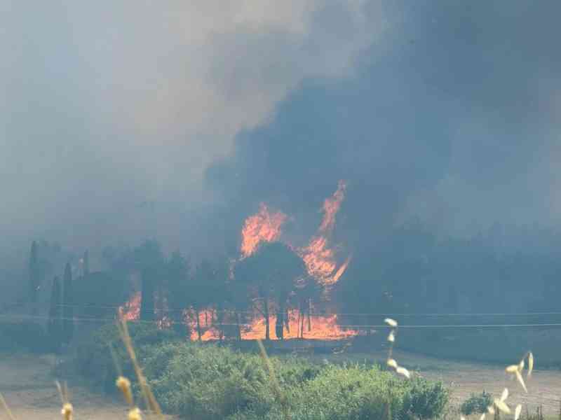 Al momento stai visualizzando Agrigento – Incendio nel bosco di Monte Arancio a Sambuca, sul posto le squadre antincendio