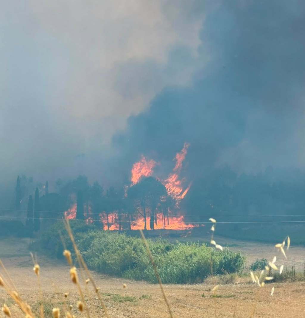 Scopri di più sull'articolo Agrigento – Sambuca di Sicilia, le fiamme stanno divorando il bosco di Monte Arancio