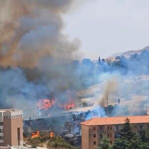 Scopri di più sull'articolo Agrigento – Incendio a Castronovo, Casteltermini è presente. Il sindaco Nicastro: “Vicini alle popolazioni colpite dal rogo”
